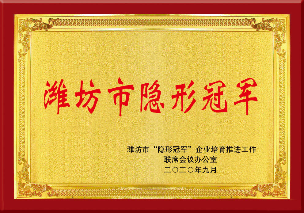 濰(wéi)坊市隐形(xíng)冠軍