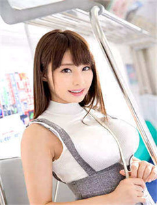 笨贼妙探